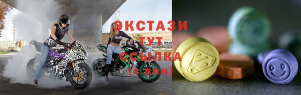 дмт Богородицк