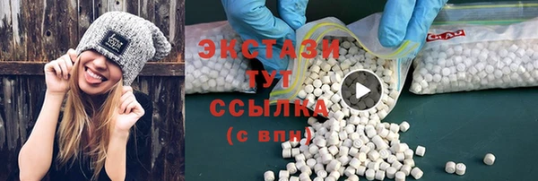 дмт Богородицк
