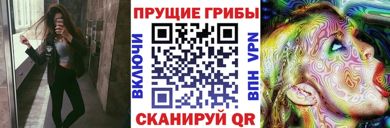 магазин    Морозовск  Галлюциногенные грибы ЛСД 